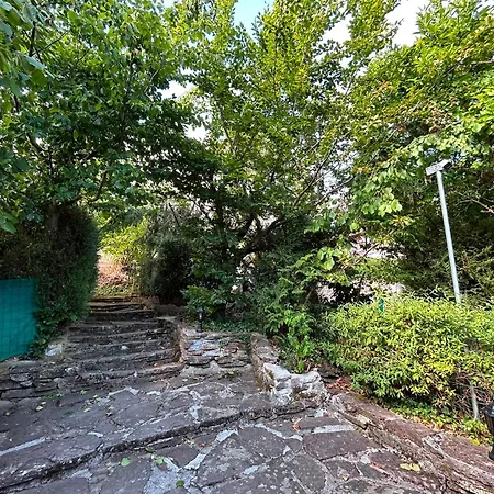 Avec Jardin Privé Apartamento Villé